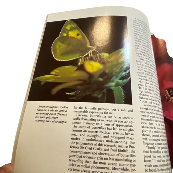 Audubon Nature Yearbook 1987 Book By Grolier Books Nature Photography & Wildlife - Picture 8 of 9